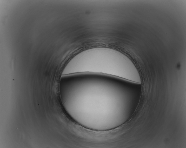 X0000089940035200707061109