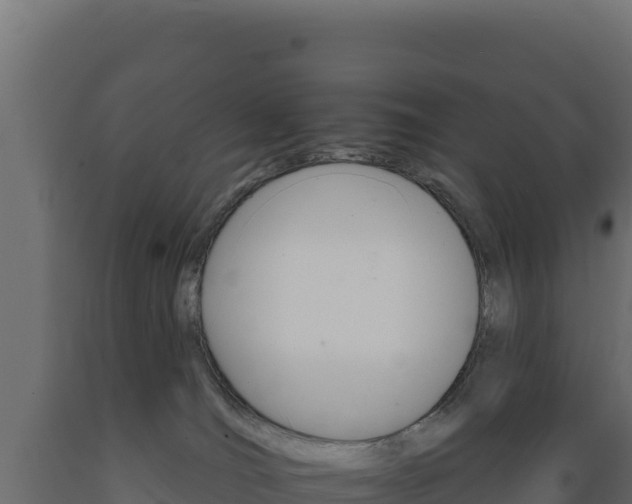 X0000089940036200707061109