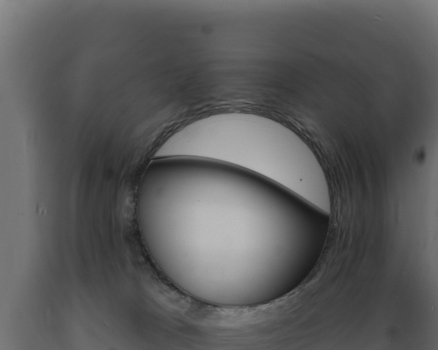 X0000089940037200707061109