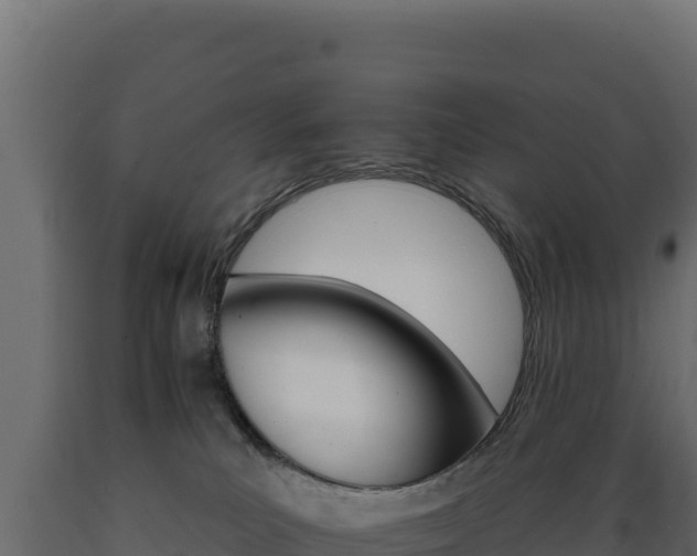 X0000089940039200707061109