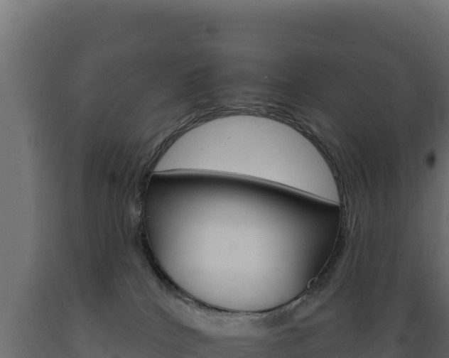 X0000089940040200707061109