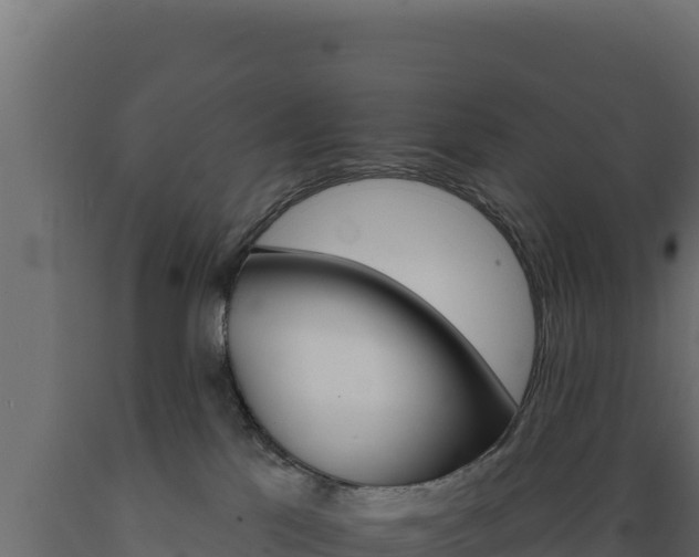 X0000089940041200707061109