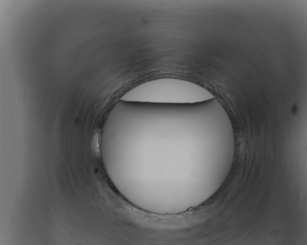 X0000089940042200707061109