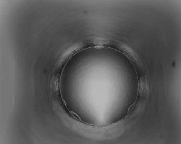 X0000089940043200707061109