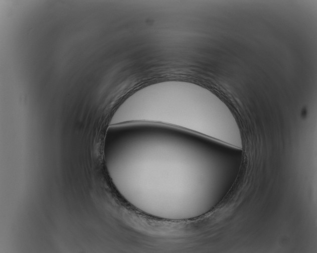 X0000089940044200707061109