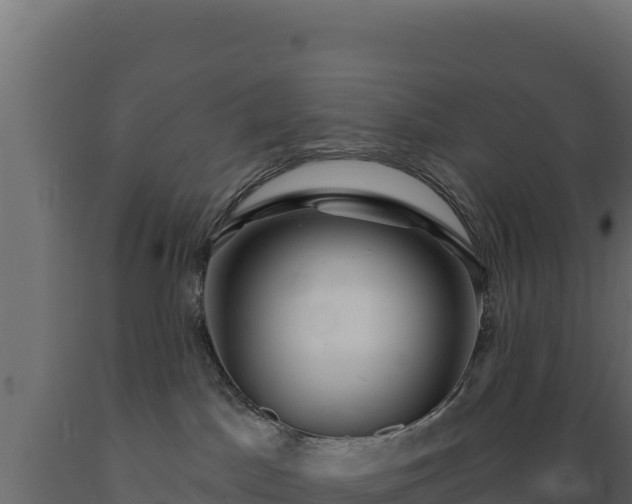 X0000089940045200707061109