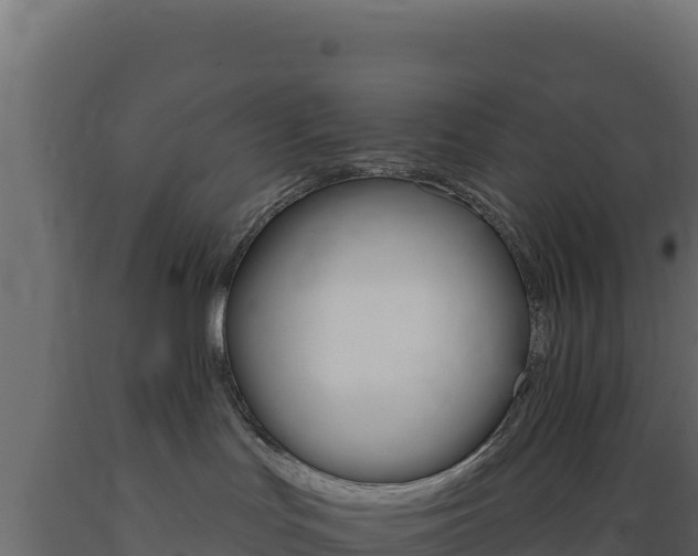 X0000089940047200707061109