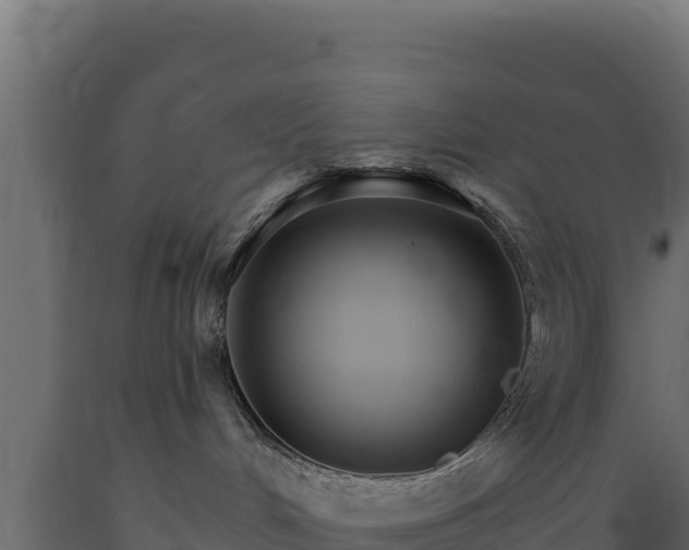 X0000089940048200707061109