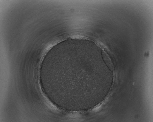 X0000089940049200707061108