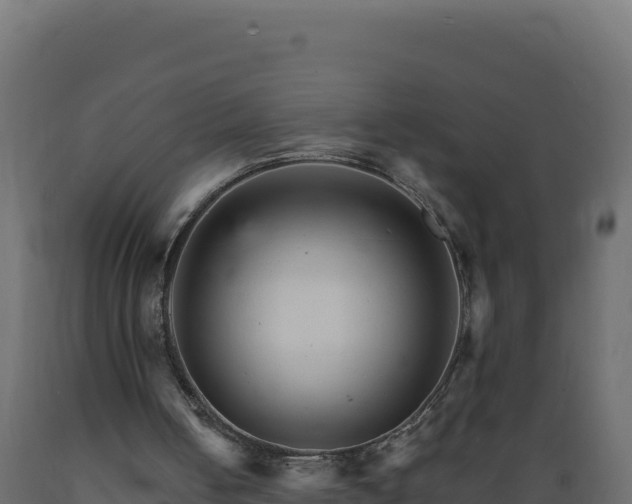 X0000089940050200707061108