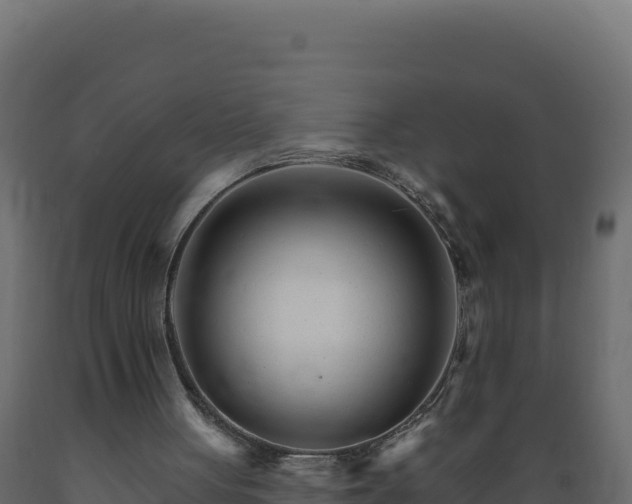 X0000089940051200707061109