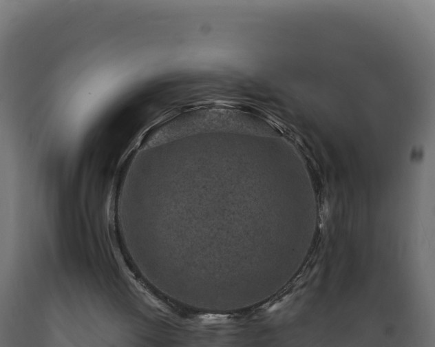 X0000089940052200707061109