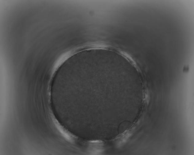 X0000089940053200707061109