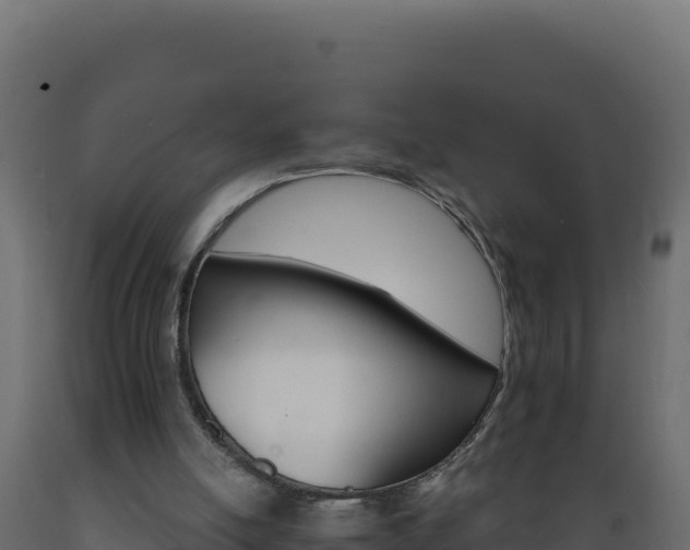 X0000089940054200707061109