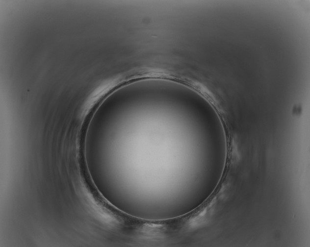 X0000089940055200707061109