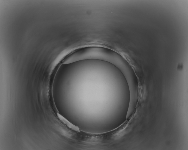 X0000089940056200707061109