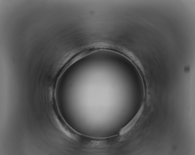 X0000089940057200707061109