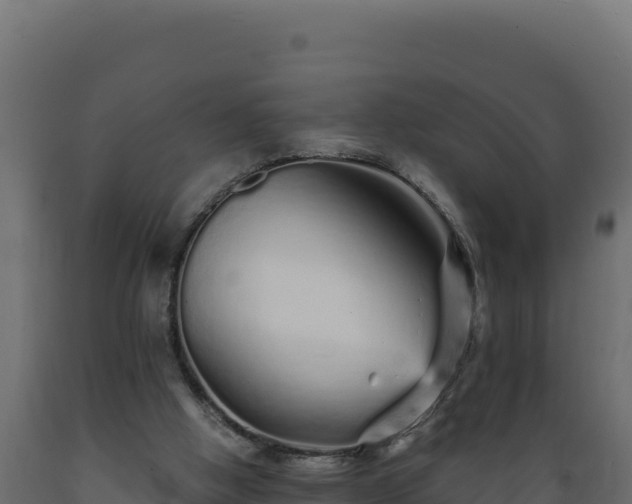 X0000089940058200707061109