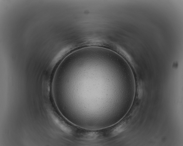 X0000089940059200707061109