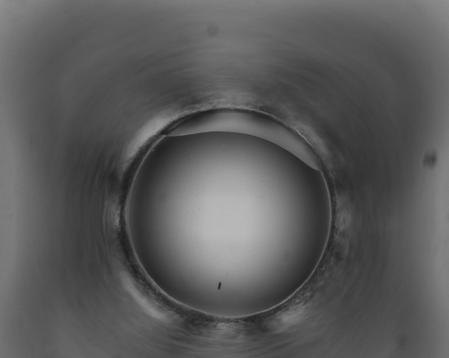 X0000089940060200707061109