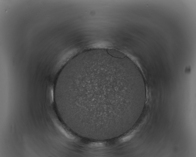 X0000089940061200707061109