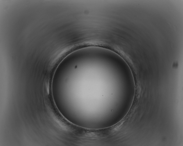 X0000089940062200707061109