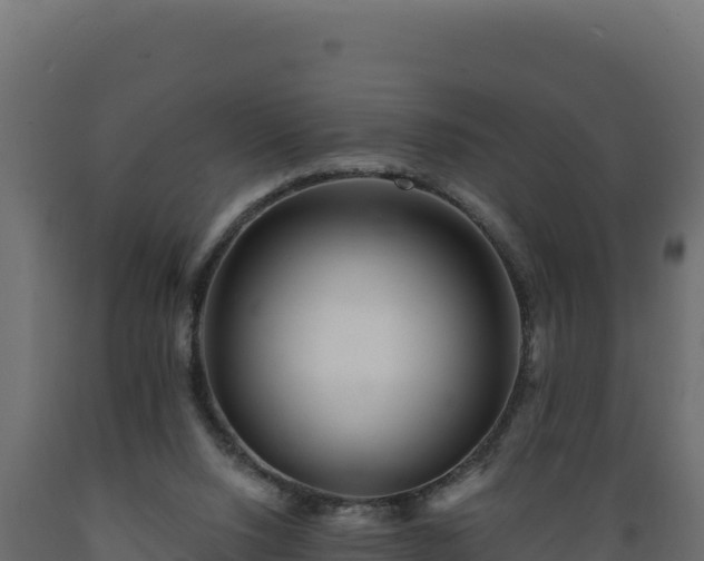 X0000089940064200707061109