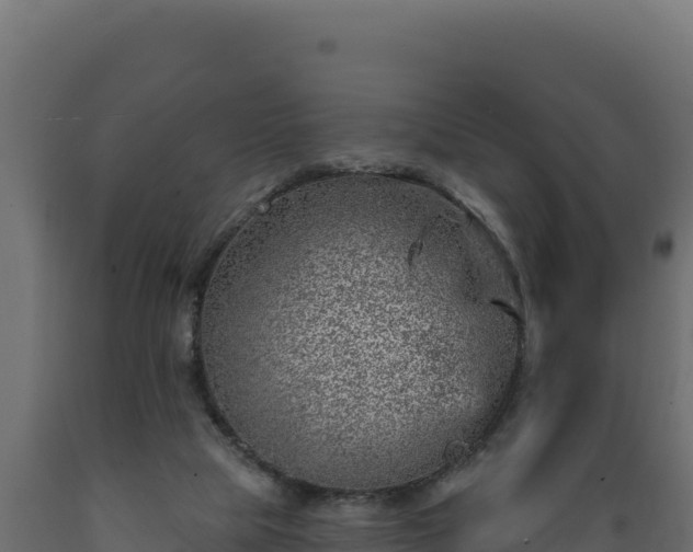 X0000089940065200707061109