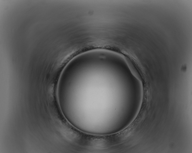 X0000089940066200707061109