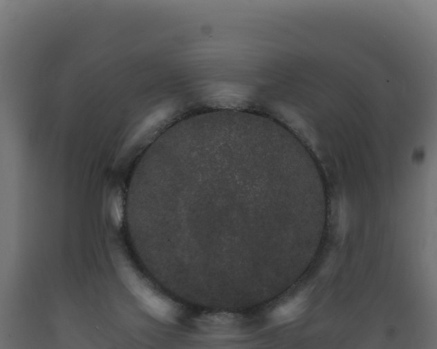 X0000089940069200707061109