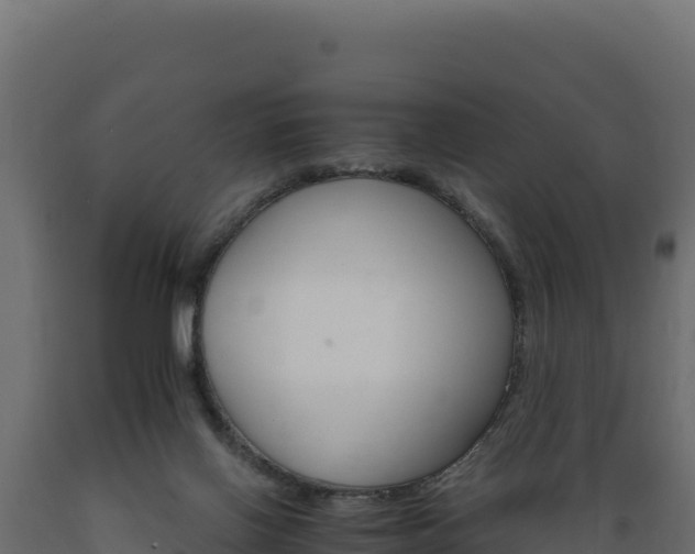 X0000089940070200707061109