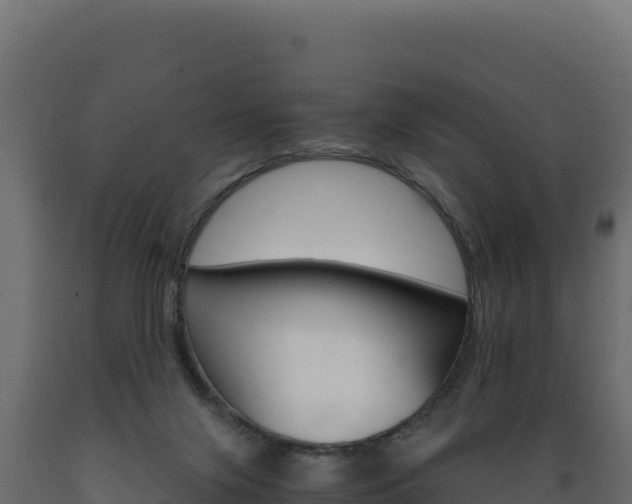 X0000089940071200707061109