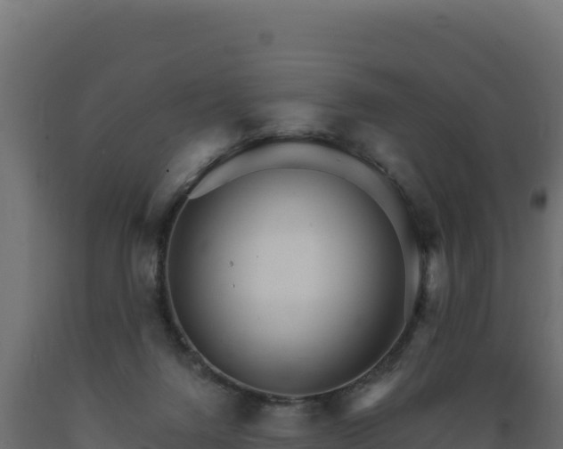 X0000089940072200707061109