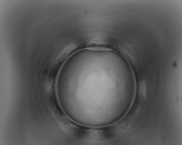 X0000089940073200707061109