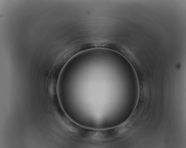 X0000089940074200707061109