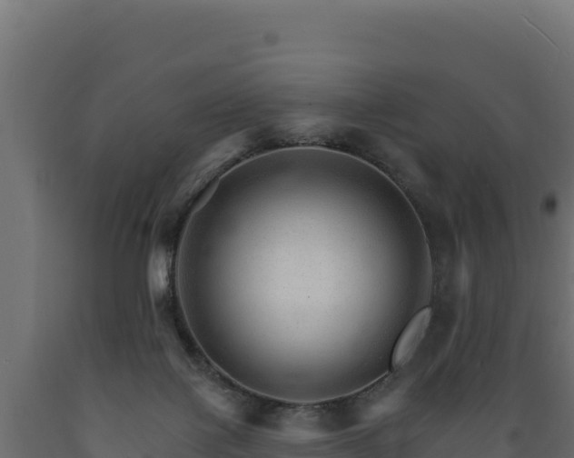 X0000089940075200707061109