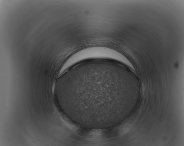 X0000089940076200707061109