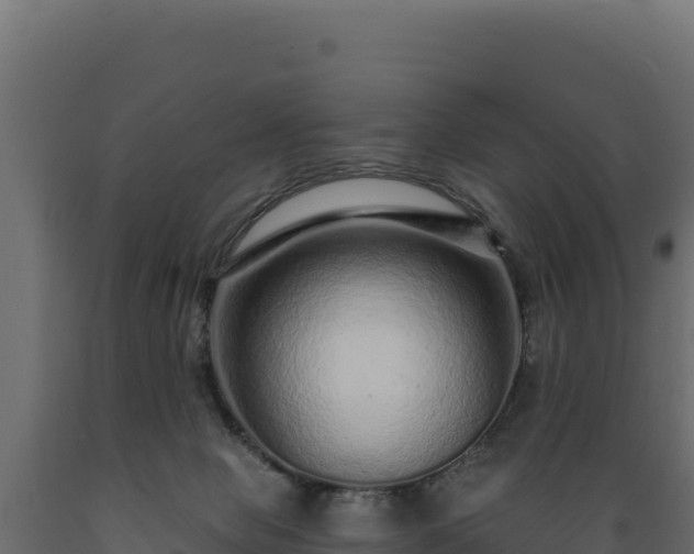 X0000089940077200707061109