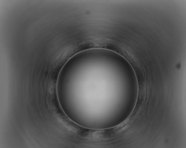 X0000089940078200707061109