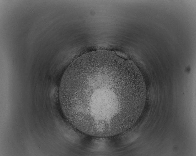 X0000089940079200707061109