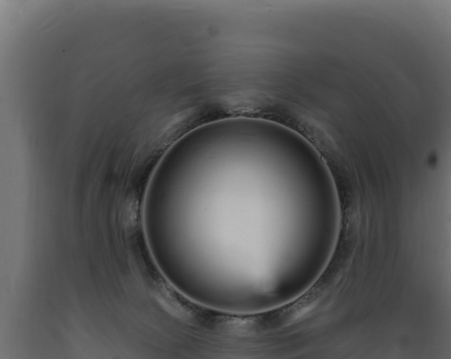 X0000089940081200707061109