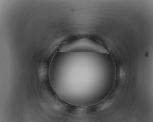 X0000089940084200707061109