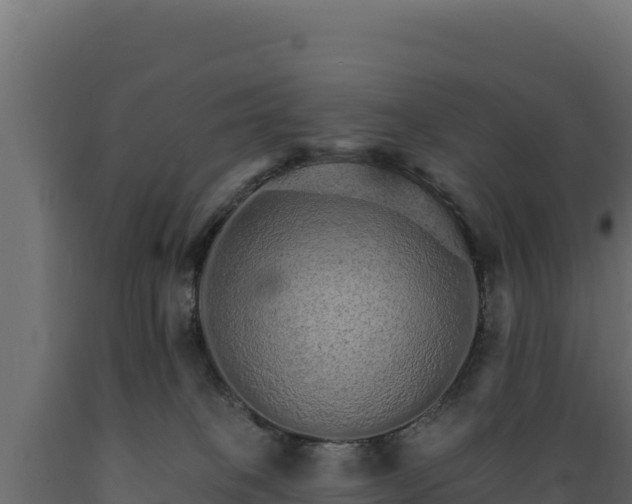 X0000089940085200707061109