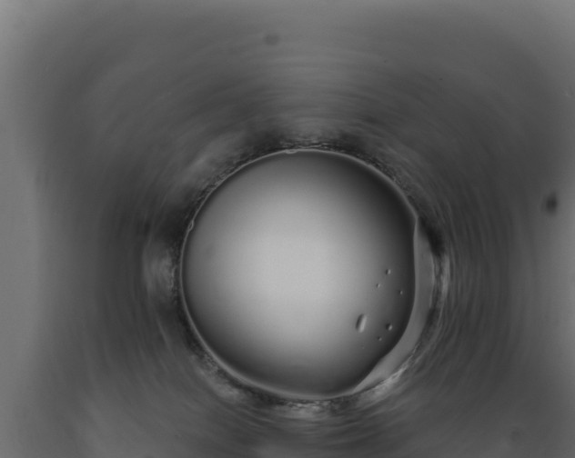 X0000089940086200707061109