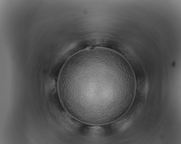 X0000089940087200707061109