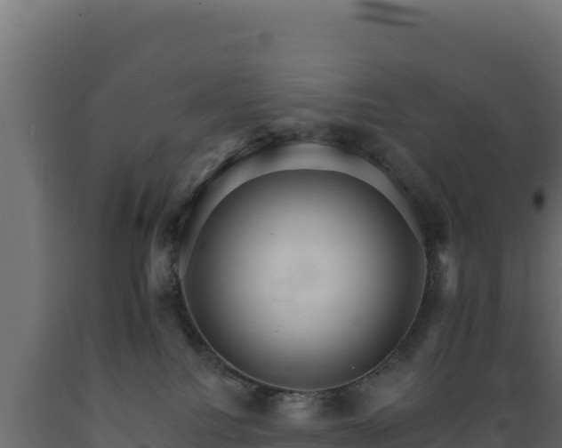 X0000089940088200707061109