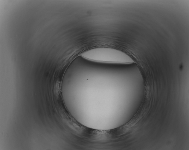 X0000089940093200707061109