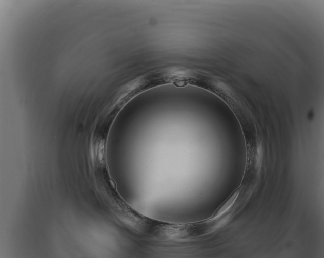 X0000089940094200707061109