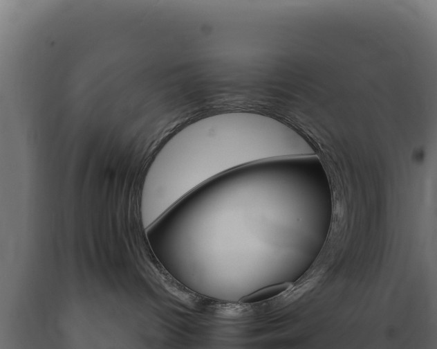 X0000089940096200707061109