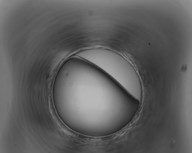 X0000089940097200707061108